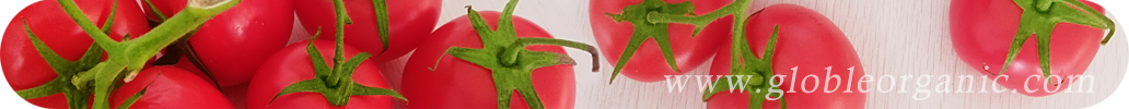 全球有機網(wǎng)，有機食品，有機信息