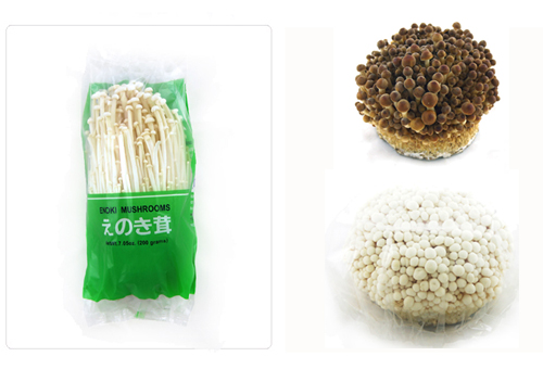 【推薦】韓國食用菇和干菇...